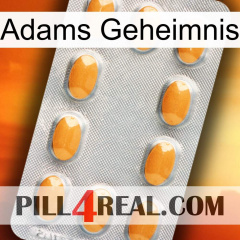 Adams Secret cialis3
